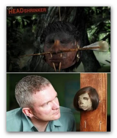 Детективная история, массовая поставка, настоящих, человеческих, голов, тсантса