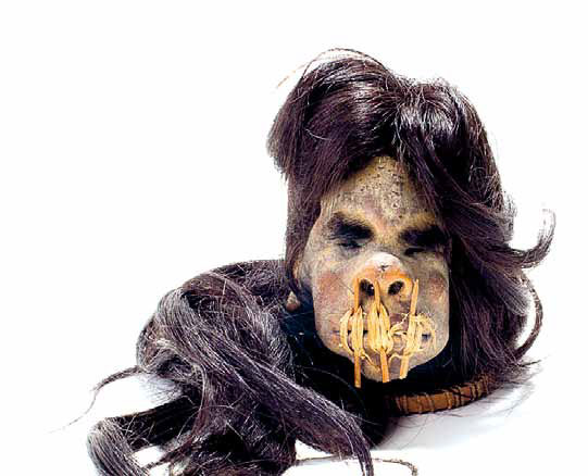 Детективная история, массовая поставка, настоящих, человеческих, голов, тсантса