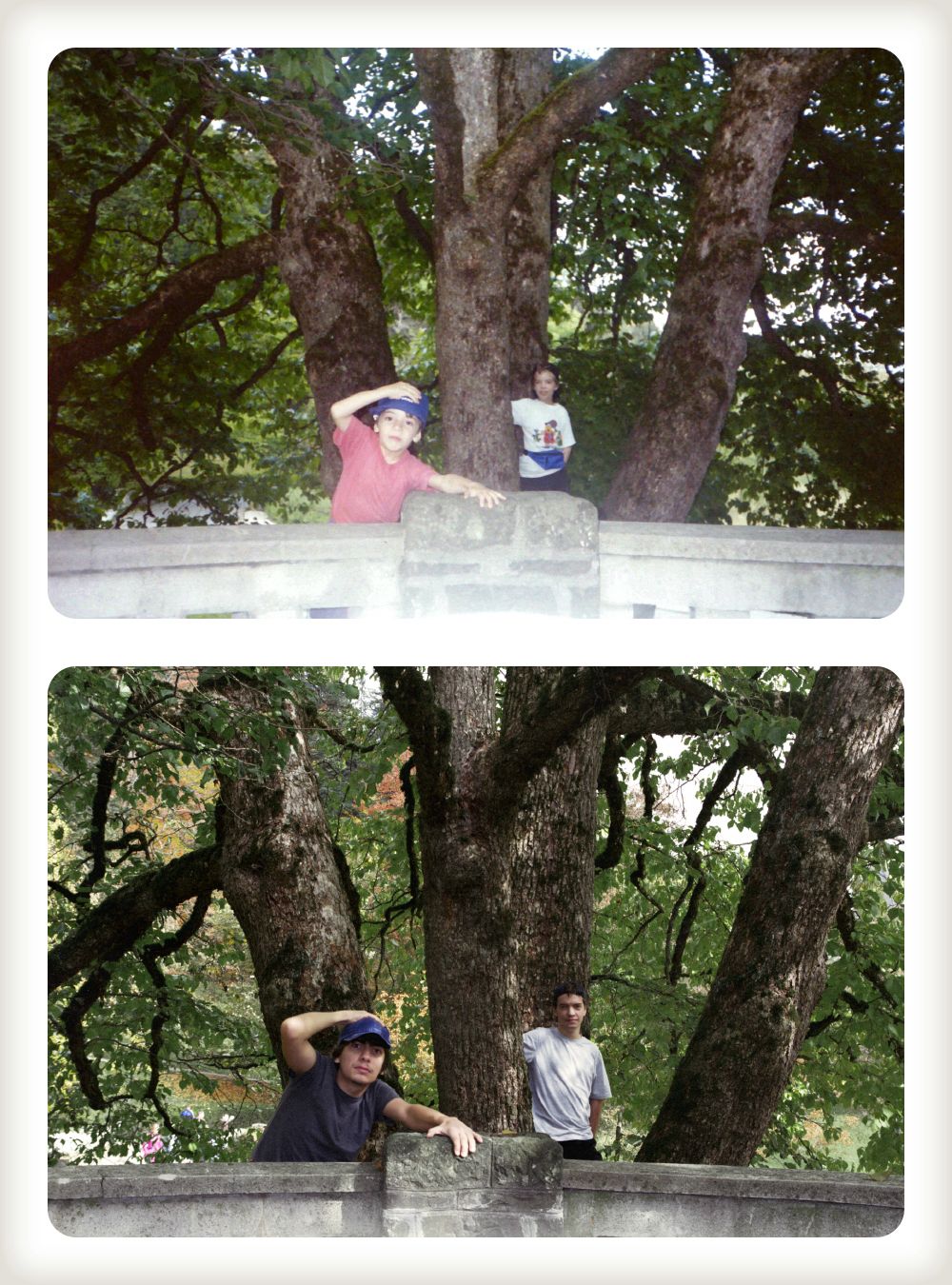 Два брата воссоздали свои детские снимки в подарок маме Два брата, фото через 20 лет, воссоздали, детские снимки,подарок маме,Toma и Paul Alexandru