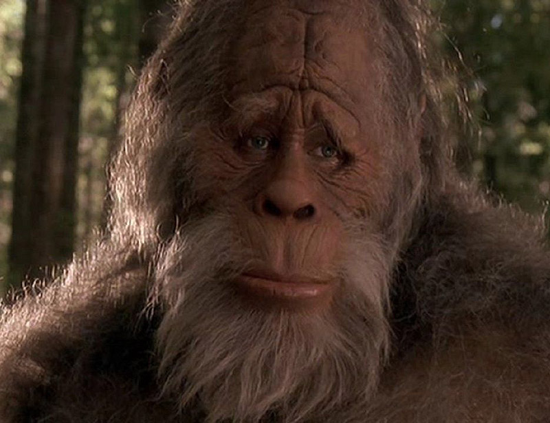 20 признаков, слишком длинная борода, большая борода