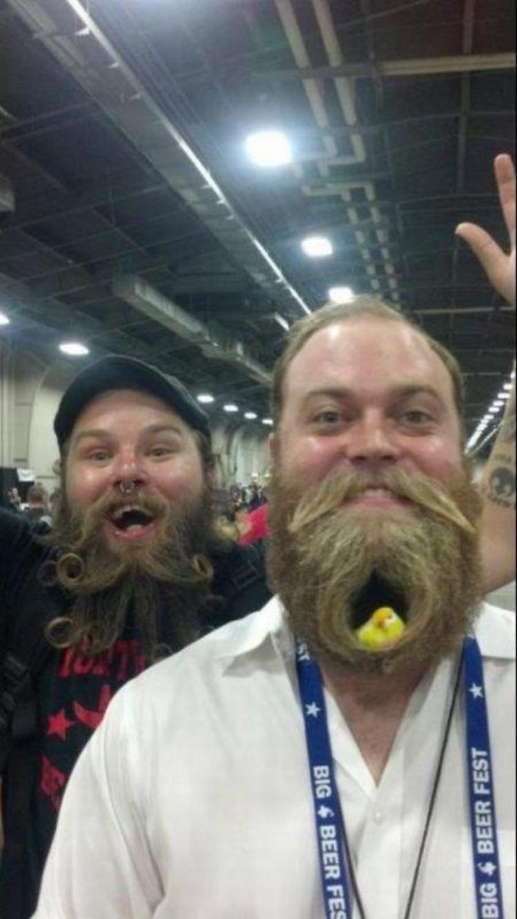 20 признаков, слишком длинная борода, большая борода