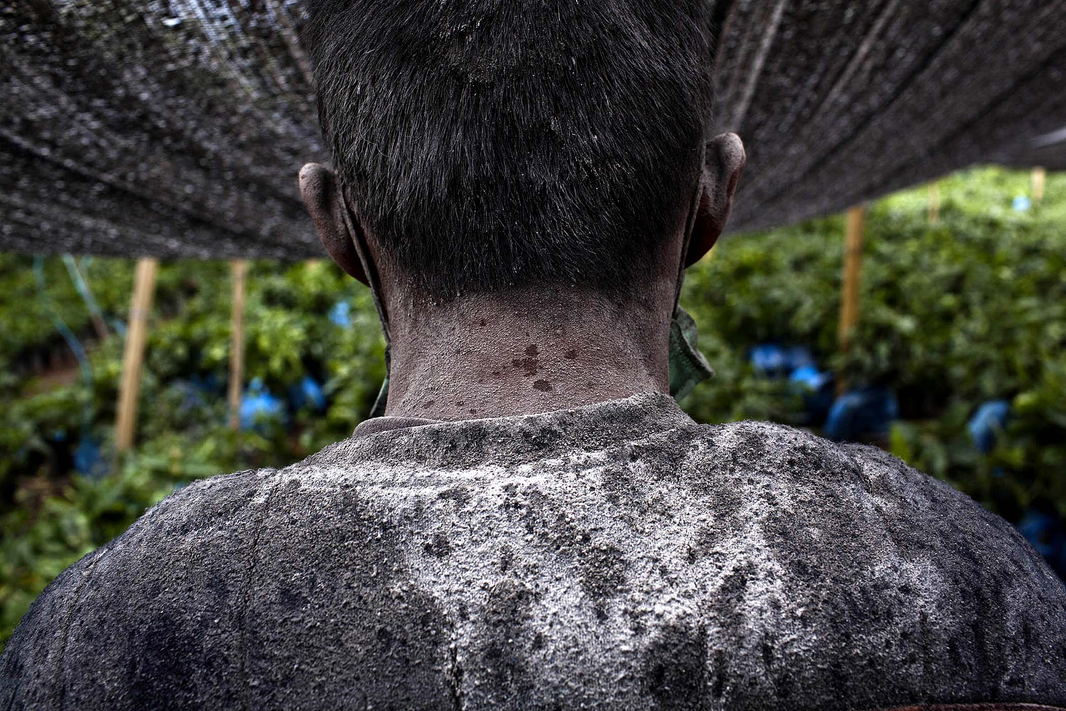 Северная Суматра, засыпанная, извержение , вулкан,пепел, Синабунг, Sinabung