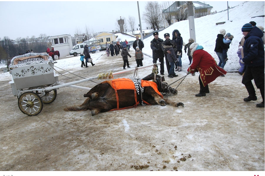 умерла, лошадь, поздравления, площадь пушкина, дед мороз, снегурочка, околела, в Иваново