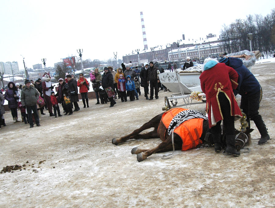 умерла, лошадь, поздравления, площадь пушкина, дед мороз, снегурочка, околела, в Иваново