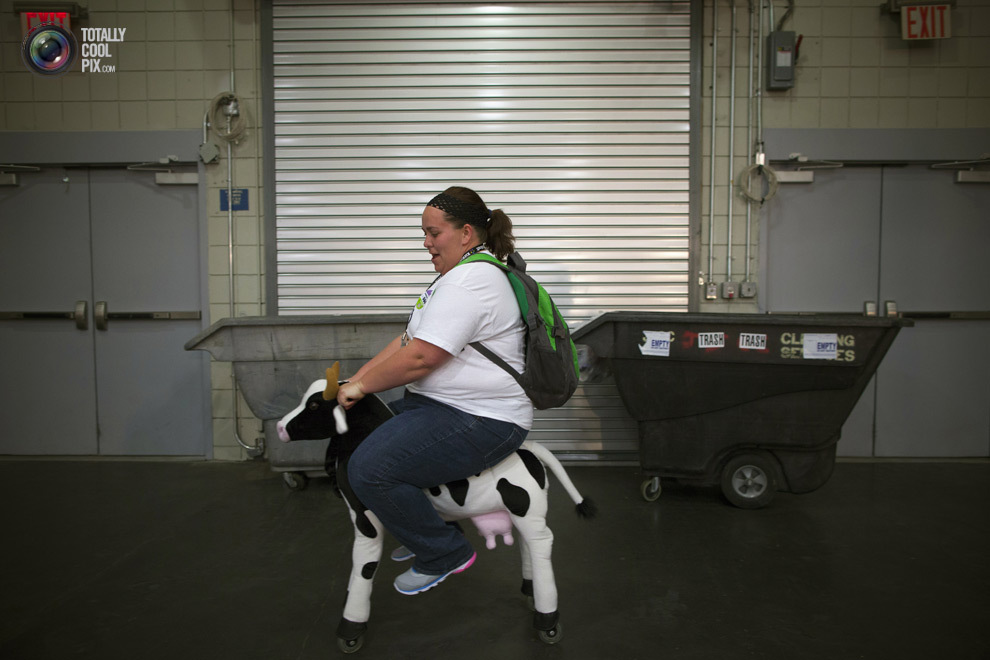  неоднозначные, странные снимки,  2013 