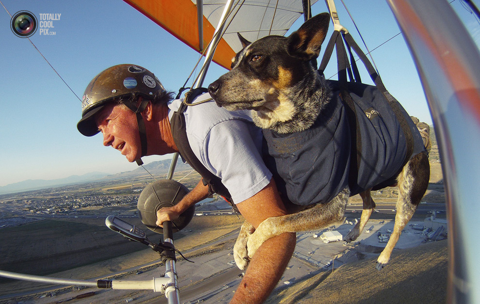  неоднозначные, странные снимки,  2013 