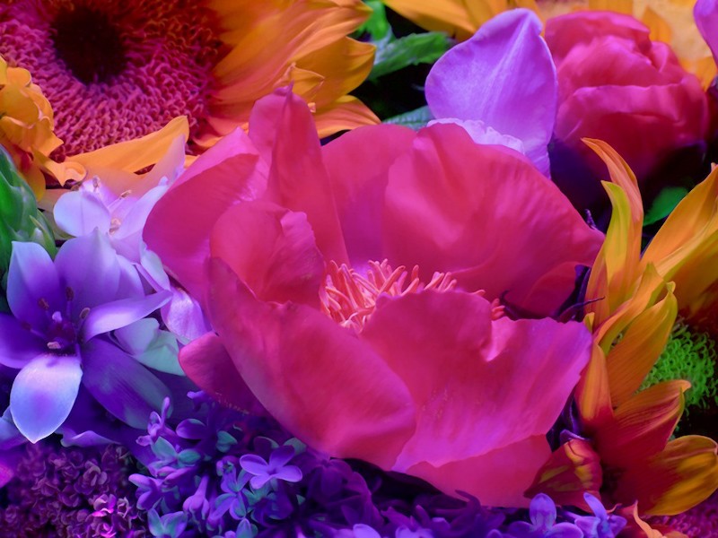 электрический цветок, Electric Blossom, Торкил Гуднасон