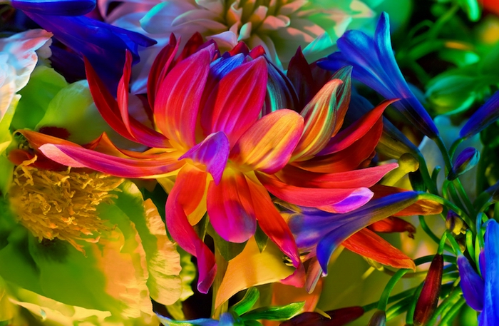 электрический цветок, Electric Blossom, Торкил Гуднасон