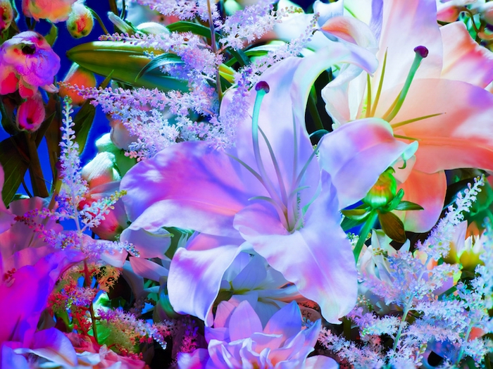 электрический цветок, Electric Blossom, Торкил Гуднасон