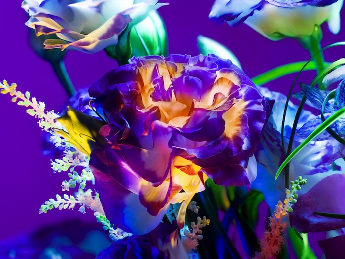 электрический цветок, Electric Blossom, Торкил Гуднасон