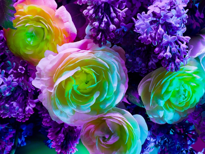 электрический цветок, Electric Blossom, Торкил Гуднасон