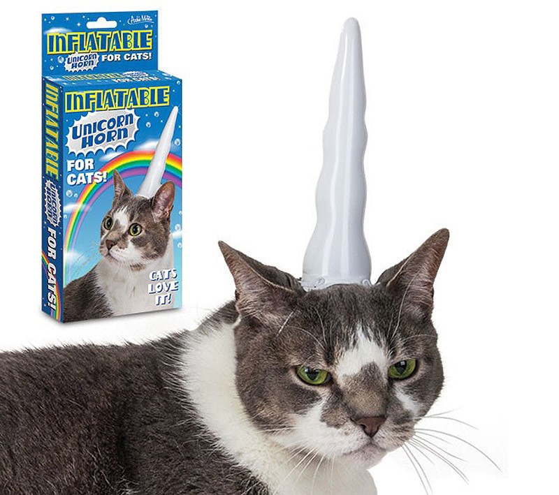 мой хозяин идиот, животные в костюмах, коты, собаки 