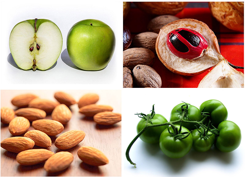 ядовитые , фрукты , овощи , кешью, миндаль , помидоры , семечки яблока , мускатный орех , шоколад