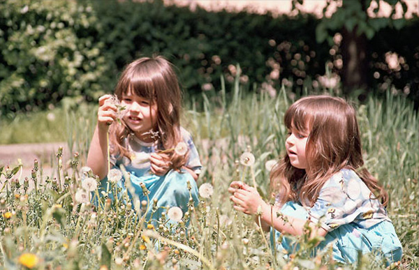 Близнецы - двойное счастье для родителей дети, близняшки, близнецы, братья, сёстры
