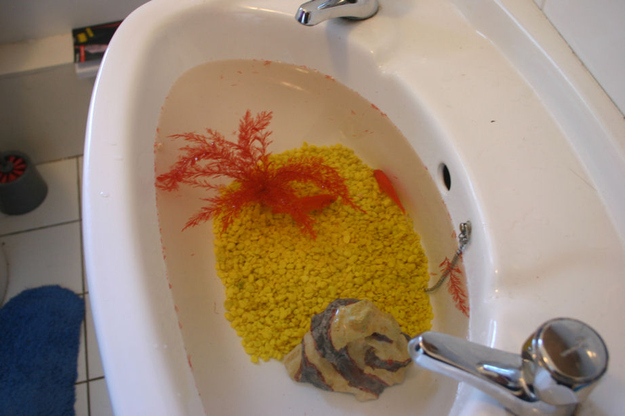 Приколы, над офисными работниками