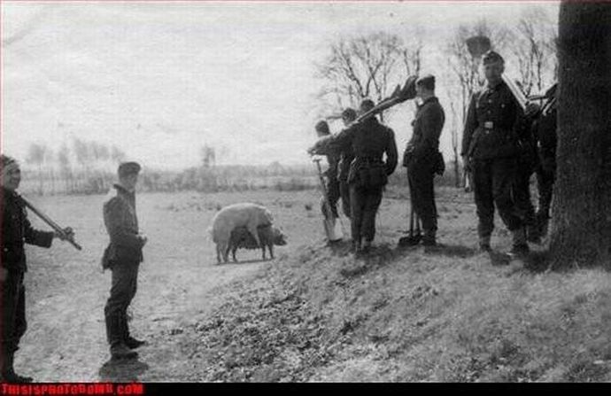 Убойный задний план II Смешное, задний план, испорченные фотографии, подборка