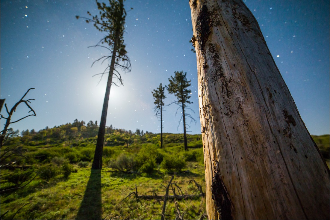 Астрофотографии, фото,фотографии, звездное небо, Майкл Шейнблюм, Michael Shainblum