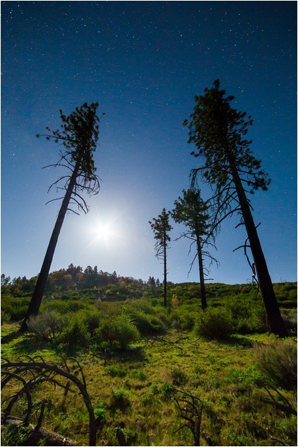 Астрофотографии, фото,фотографии, звездное небо, Майкл Шейнблюм, Michael Shainblum