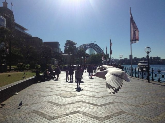 в нужный момент, поймать кадр, лови момент