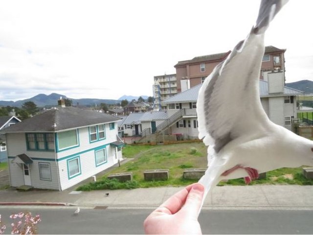 в нужный момент, поймать кадр, лови момент