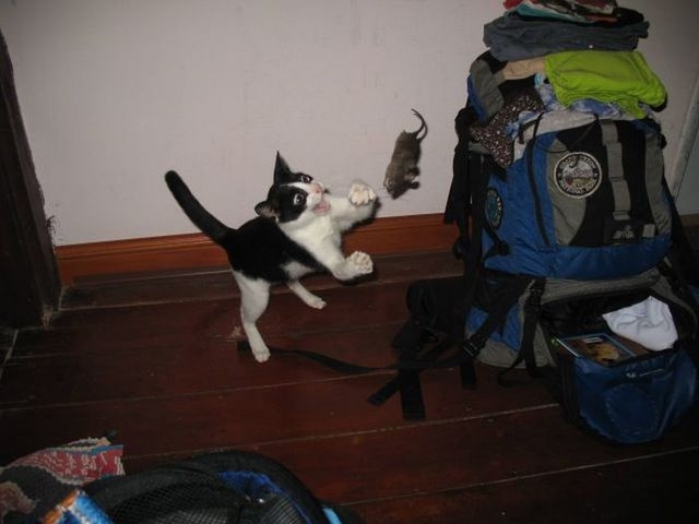 в нужный момент, поймать кадр, лови момент