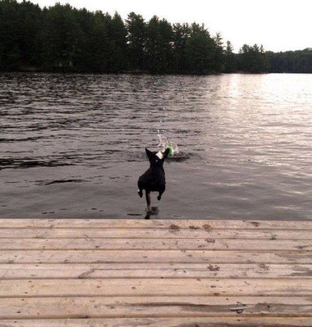 в нужный момент, поймать кадр, лови момент