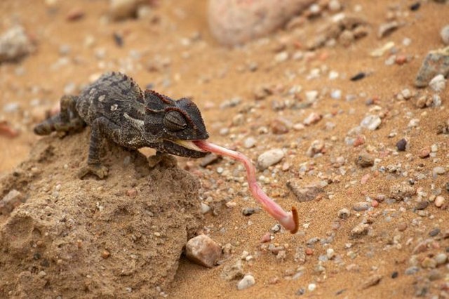 Фотографии, в нужный момент, пойманный кадр
