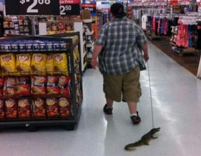 американцы в супермаркете, people of walmart,сша 