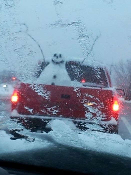 зима, прикол, курьёзные ситуации, снег