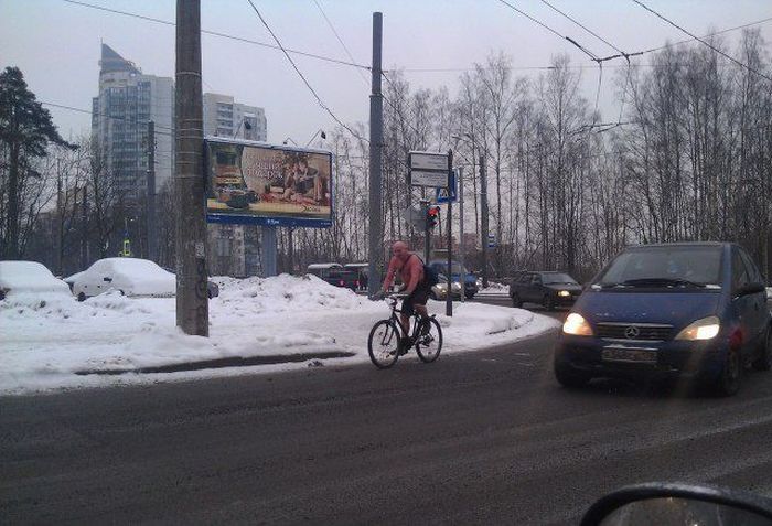 зима, прикол, курьёзные ситуации, снег