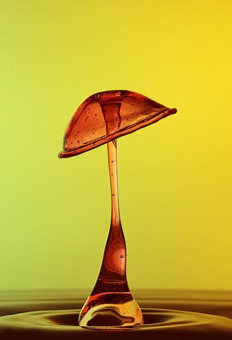 Потрясающие, сочные, яркие, жидкие, скульптуры, фотограф, Тапан Шет, Tapan Shet