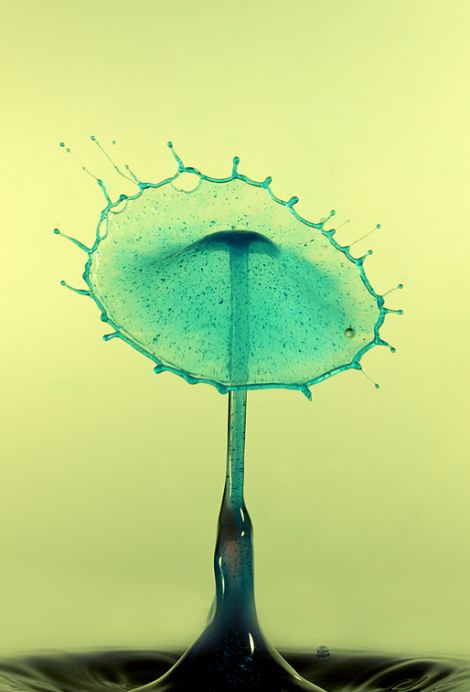 Потрясающие, сочные, яркие, жидкие, скульптуры, фотограф, Тапан Шет, Tapan Shet