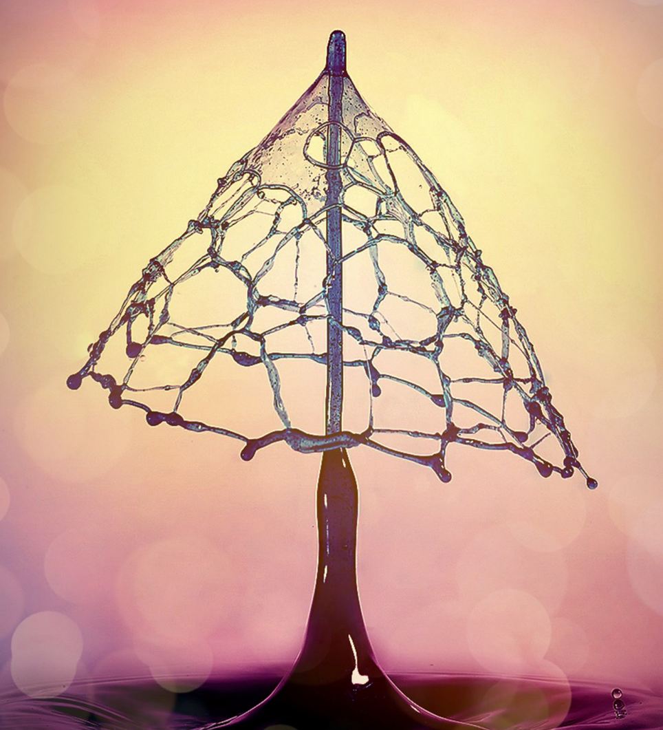 Потрясающие, сочные, яркие, жидкие, скульптуры, фотограф, Тапан Шет, Tapan Shet