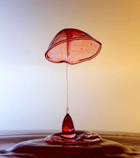 Потрясающие, сочные, яркие, жидкие, скульптуры, фотограф, Тапан Шет, Tapan Shet