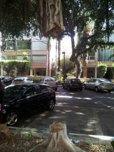 смешные, необъяснимые, фотографии,