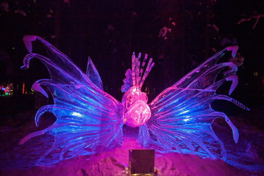 Крупнейший, в мире, чемпионат, ледяного искусства, 2013, Аляска