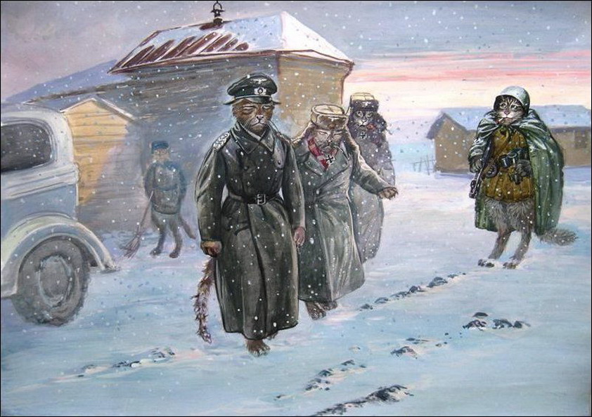 эпические коты, военные, коты-герои, александр завалий