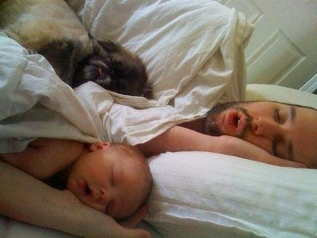 эмоциональные снимки, трогательные фотографии 