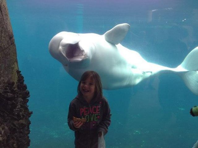 эмоциональные снимки, трогательные фотографии 