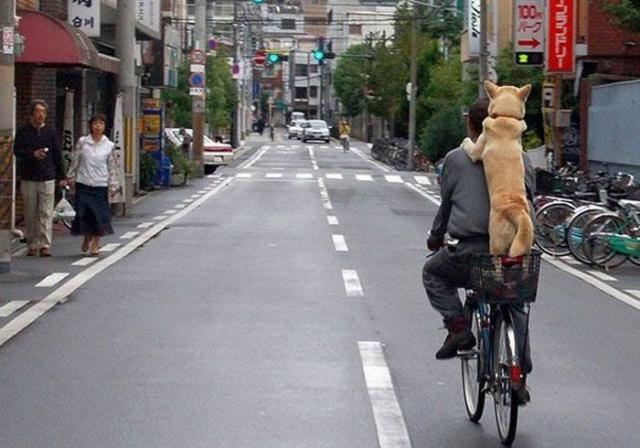 эмоциональные снимки, трогательные фотографии 