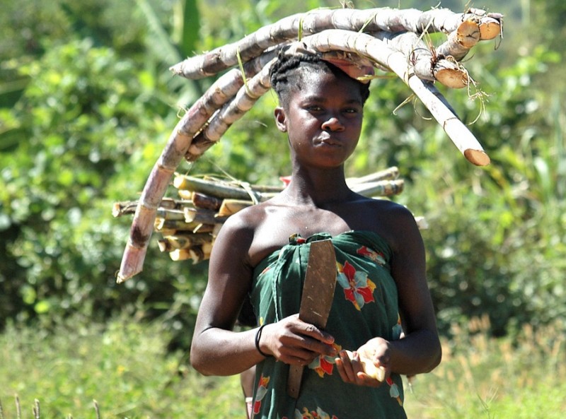 Интересные, факты о сексе, 