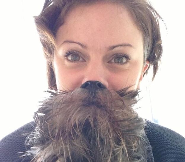 борода из собаки, собачья борода, собакоборода