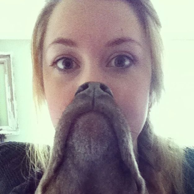 борода из собаки, собачья борода, собакоборода