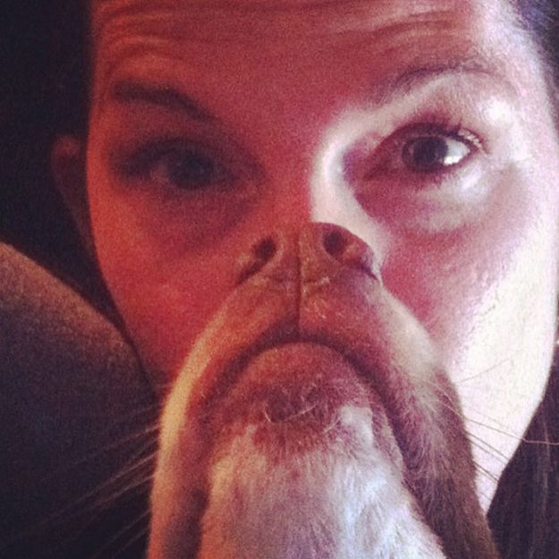 борода из собаки, собачья борода, собакоборода