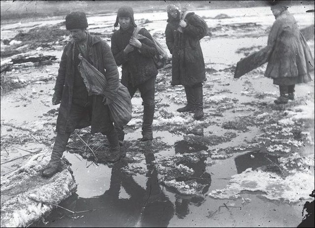 Значения, русских, ругательства, оскорбления, дурак, подонок, сволочь,дрянь,мерзавец, быдло