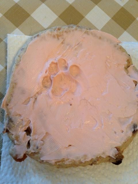 смешные картинки,прикольные картинки,юмор