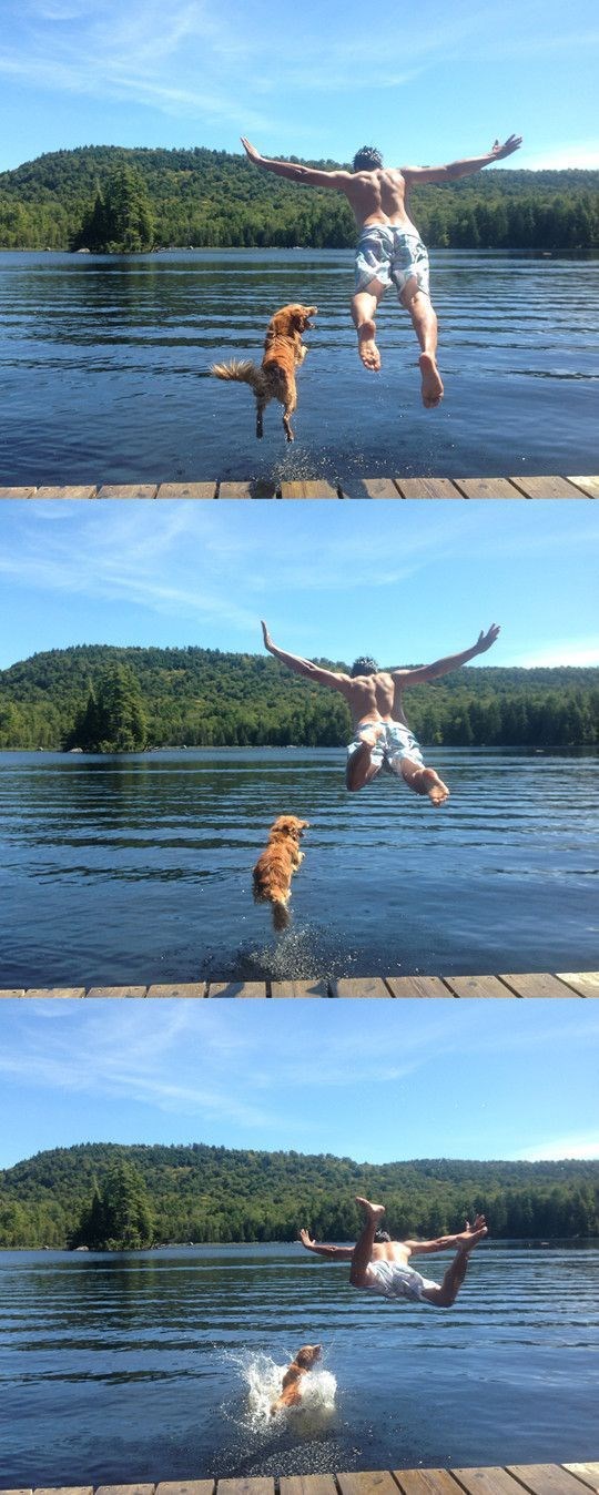 смешные картинки,прикольные картинки,юмор