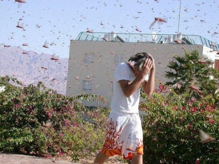 не самый удачный день,не повезло,фэйл