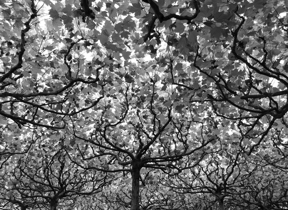 Работы участников фотоконкурса National Geographic