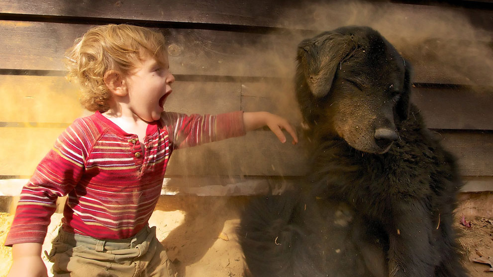 Работы участников фотоконкурса National Geographic
